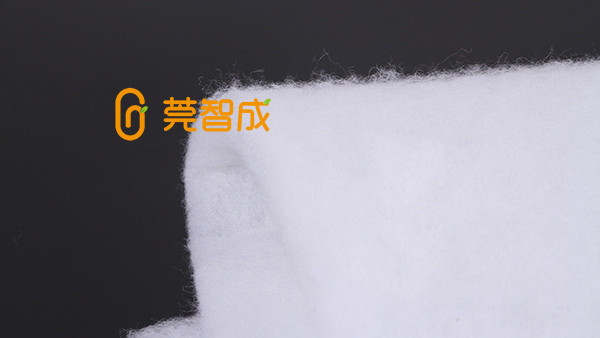 無膠棉廠智成纖維，品牌彰顯實力